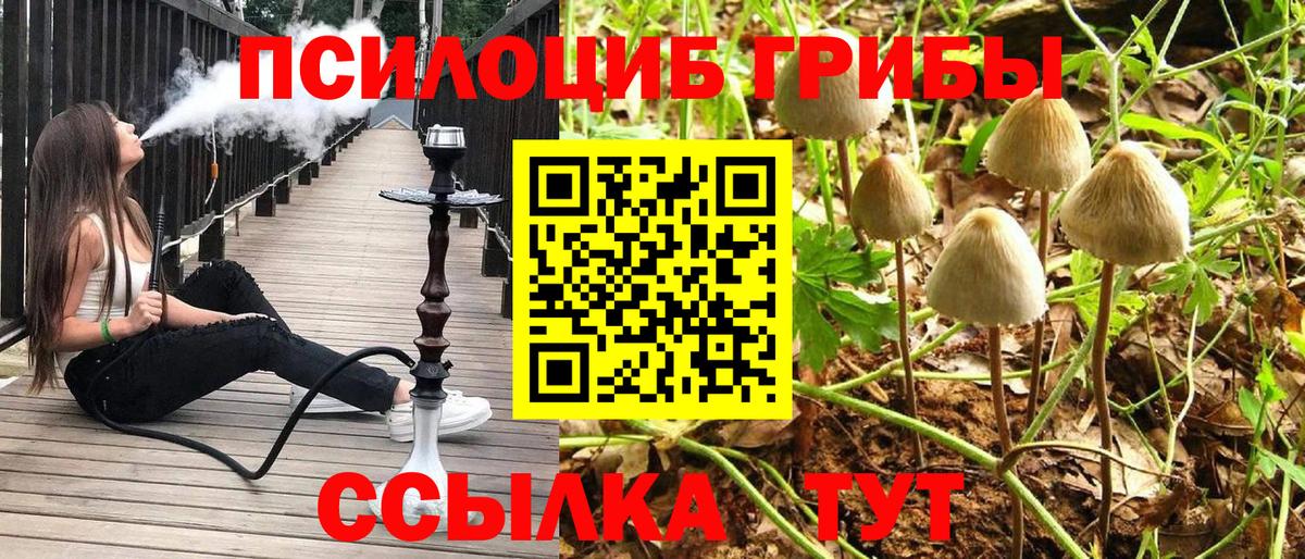 Алапаевск  Галлюциногенные грибы мицелий  Вход с VPN  Галлюциногенные грибы ЛСД 