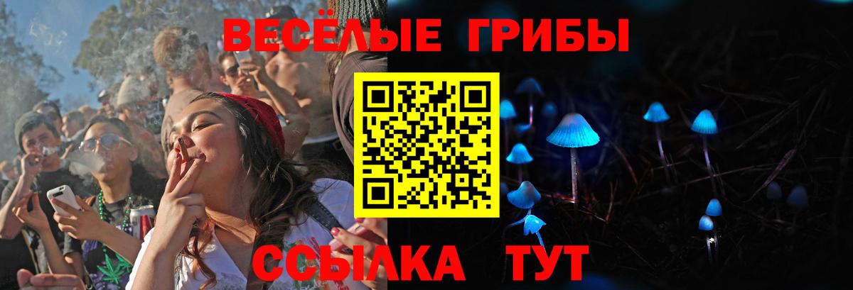 Псилоцибиновые грибы Cubensis Алапаевск